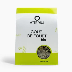 Tisane Coup de fouet